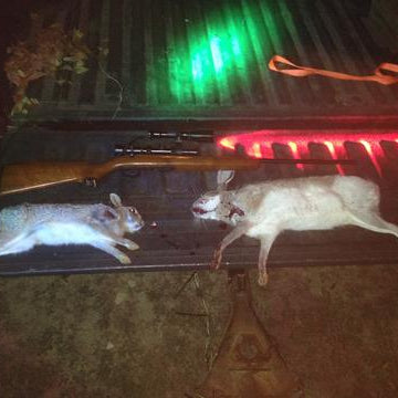 Customers Successful Rabbit Hunt Using Killzone Flashlights Hog Light