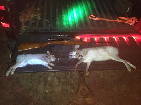 Customers Successful Rabbit Hunt Using Killzone Flashlights Hog Light