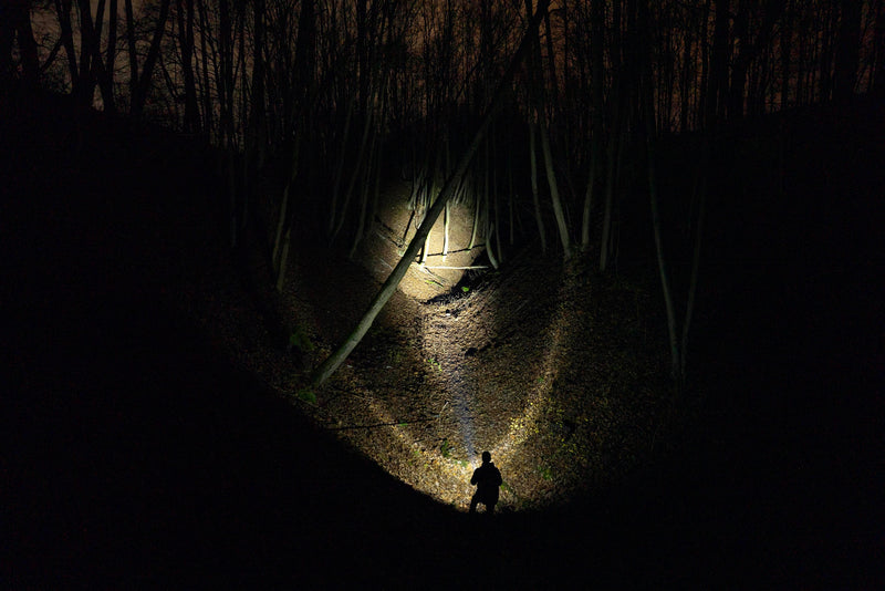 In a dark forest at night, a person stands shining the Armytek Bear WRG long-range flashlight ahead, illuminating trees and a path while the surrounding area remains in shadow.