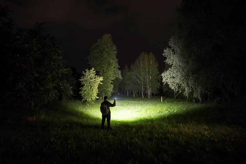 Armytek Elf C2 Max LR beam illuminating trees across an open area