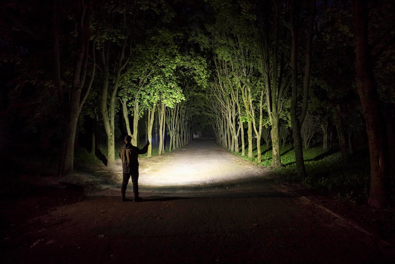 Elf C2 Max LR illuminating a forest path with a central hotspot and side spill