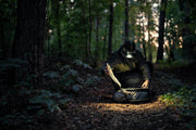 Elf C2 Max worn as a headlamp beside a gear bag in the forest