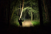 Elf C2 Max illuminating a wide forest trail at night