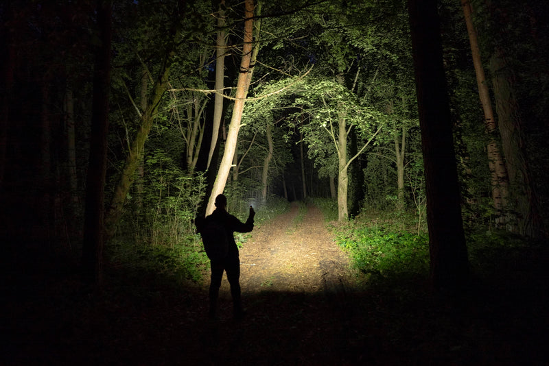 Elf C2 Max illuminating a wide forest trail at night