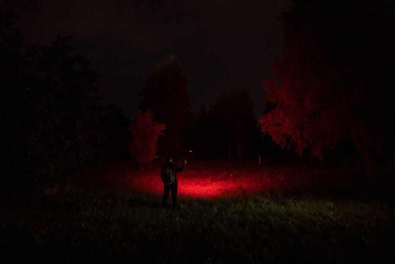 Elf C2 Max WR red beam illuminating a clearing at night