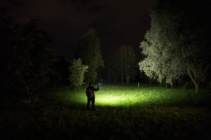 Elf C2 Max WR white beam illuminating trees at night