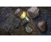 The Armytek Elf C2 USB-C Warm flashlight, featuring a robust design and USB-C charging capability, is submerged in shallow water among rocks, emitting a steady beam of light.