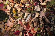 The Manker E02 III - Titanium, a compact flashlight, rests among dry autumn leaves and green grass patches—perfect for everyday carry, delivering up to 560 lumens of brightness.
