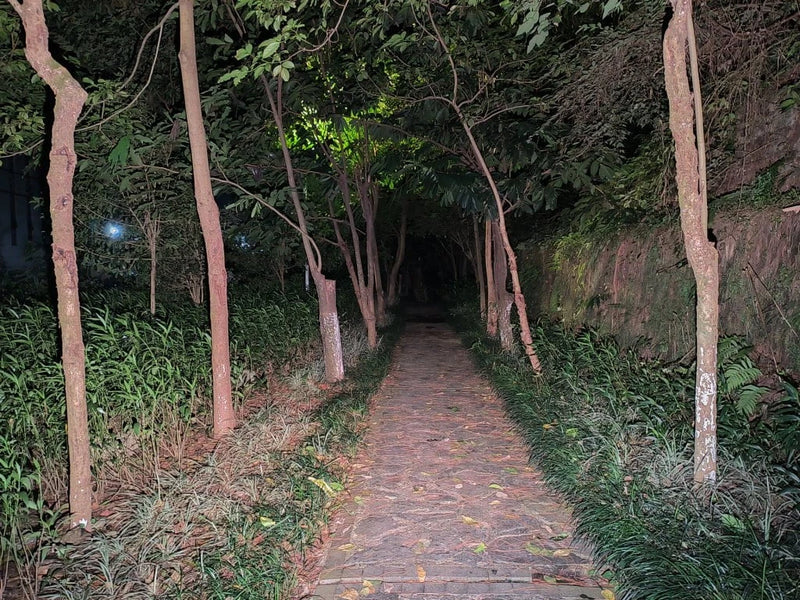 A narrow stone path lined with trees and dense vegetation is illuminated at night by the beam of a Manker LAD Mini Rechargeable Keychain Flashlight with USB-C charging.