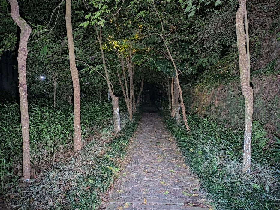 A narrow stone path winds through a tunnel of trees at night, dense foliage on both sides and overhead, partially lit by the beam of a Manker LAD Mini Rechargeable Keychain Flashlight.