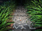 A stone pathway bordered by green leafy plants, lit at night by the Manker LAD Mini Rechargeable Keychain Flashlight, with dry leaves scattered across the ground.