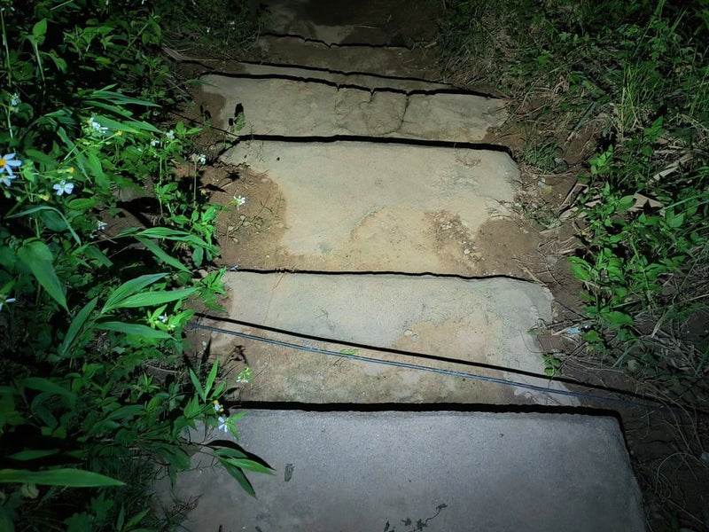 Stone steps surrounded by green plants, with a thin cable across them, illuminated at night by the Manker LAD Mini Rechargeable Keychain Flashlight.