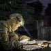 A soldier wearing camouflage and a helmet writes notes by Weltool T1 Pro TAC at night, with personal equipment beside them on a concrete surface.