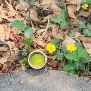 A small green matcha drink in a cup rests on a tree stump outdoors, surrounded by leaves, grass, and yellow wildflowers. Next to it is the Weltool W3Pro TAC Mini - FDE tactical flashlight.
