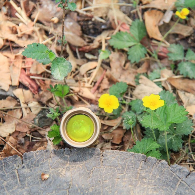 A small green matcha drink in a cup rests on a tree stump outdoors, surrounded by leaves, grass, and yellow wildflowers. Next to it is the Weltool W3Pro TAC Mini - FDE tactical flashlight.