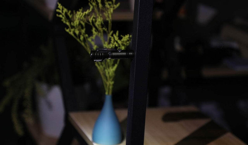 A Manker E02 II with a blue flower in it.