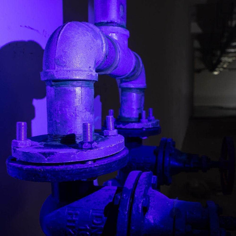 Weltool M6-UV "Golden-Eyed Tiger Cub" UV LED Penlight